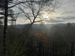 Lair of the Bear - Image 2
